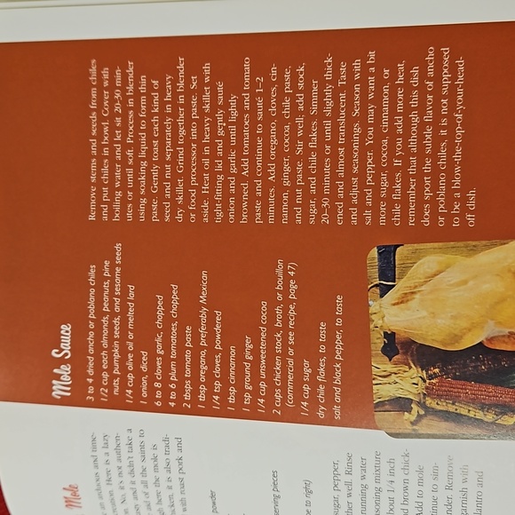 Retro Fiesta 'A Gringo's Guide to Mexican Party Planning' book Geraldine Duncan - Picture 10 of 16